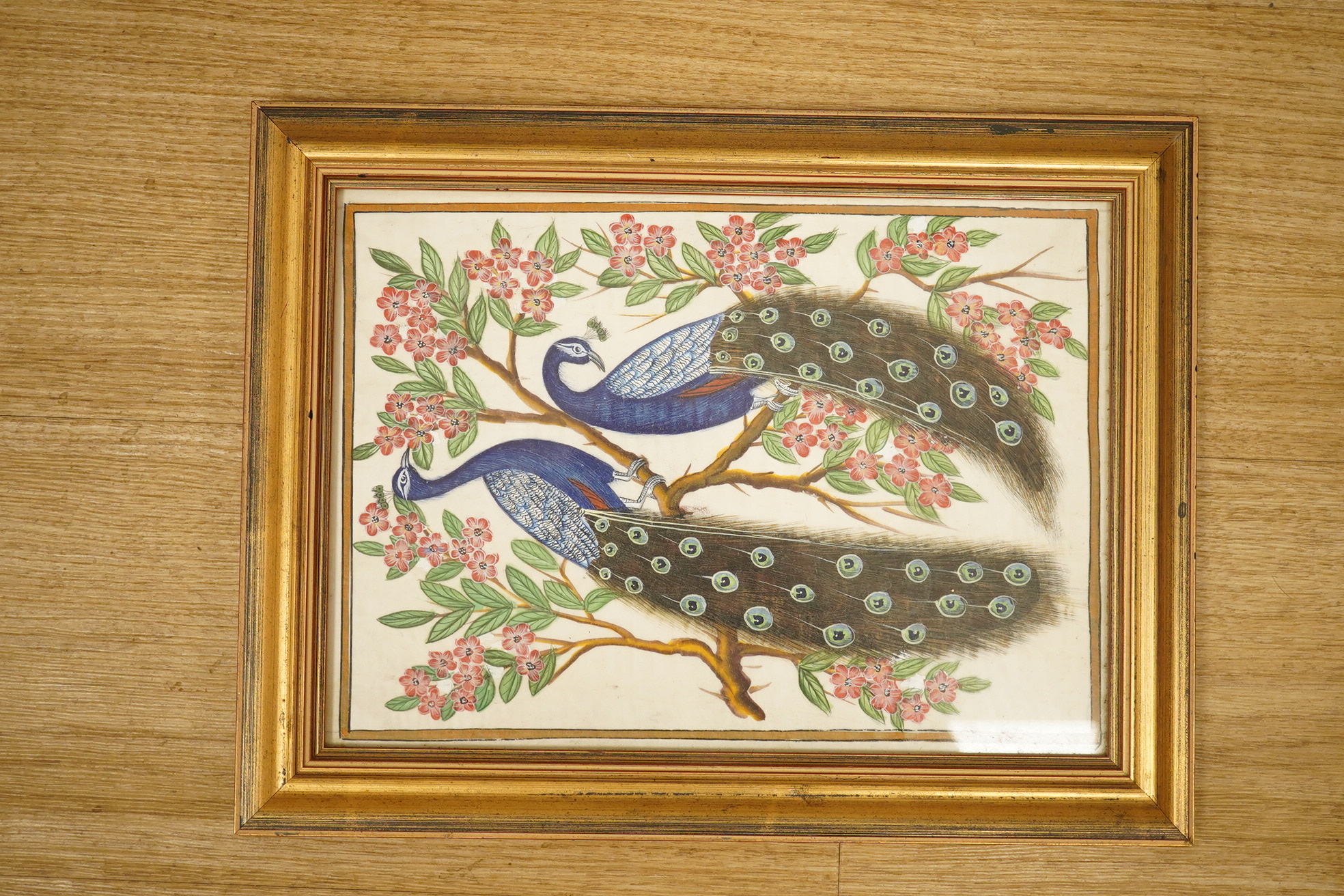 Early 20th century Chinese school, gouache on fabric, Peacocks amongst flowers, 30 x 20cm, gilt framed. Condition - good